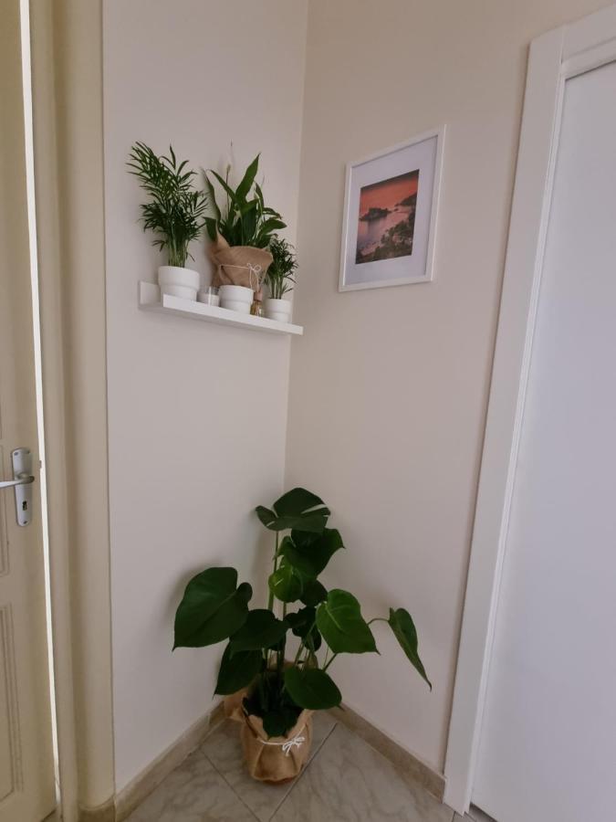 Etna Ocean Rooms Catania Bagian luar foto